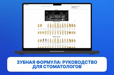 Зубная формула: руководство для стоматологов